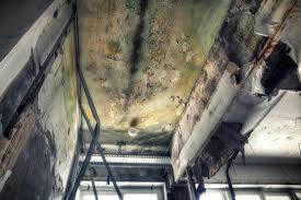 Professional Mold Inspection in Dallas, NC